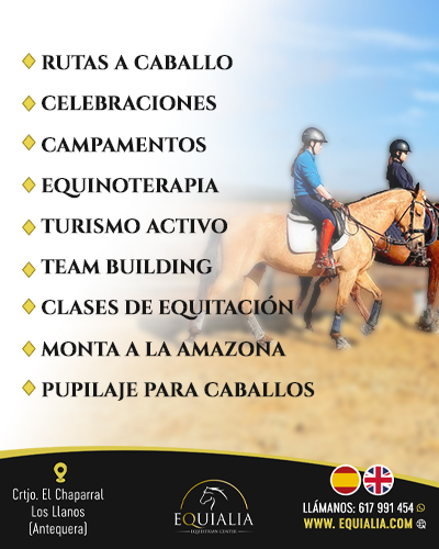 Antequera genera 95 nuevos puestos de trabajo con la reforma de la calle Taller y Ollas 2